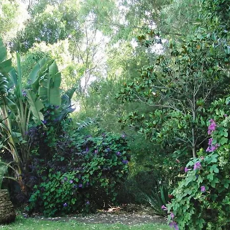 Tara Holiday home Sitio de Calahonda